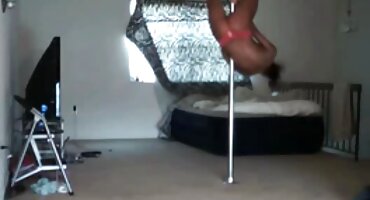 ഭർത്താവിനോടും ബെസ്റ്റ് ഫ്രണ്ടിനോടും കഴുത ചോദിക്കുന്നു