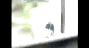 ഒരു ഹാർഡ് കഴുതക്കുട്ടിയുടെ സമയത്ത് യുവ നായിന്റെ മോൻ