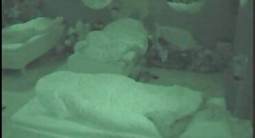 പ്രഭാതത്തിൽ നിന്ന് ചക്ക് ഒരു നല്ല കോഴി സ്പങ്കിംഗ് ലഭിക്കുന്നു