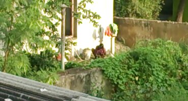 തോട്ടക്കാരൻ എണ്ണമയമുള്ള യോനിയിൽ വലിയ കോഴി